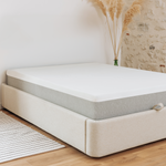 Ensemble Nova Original